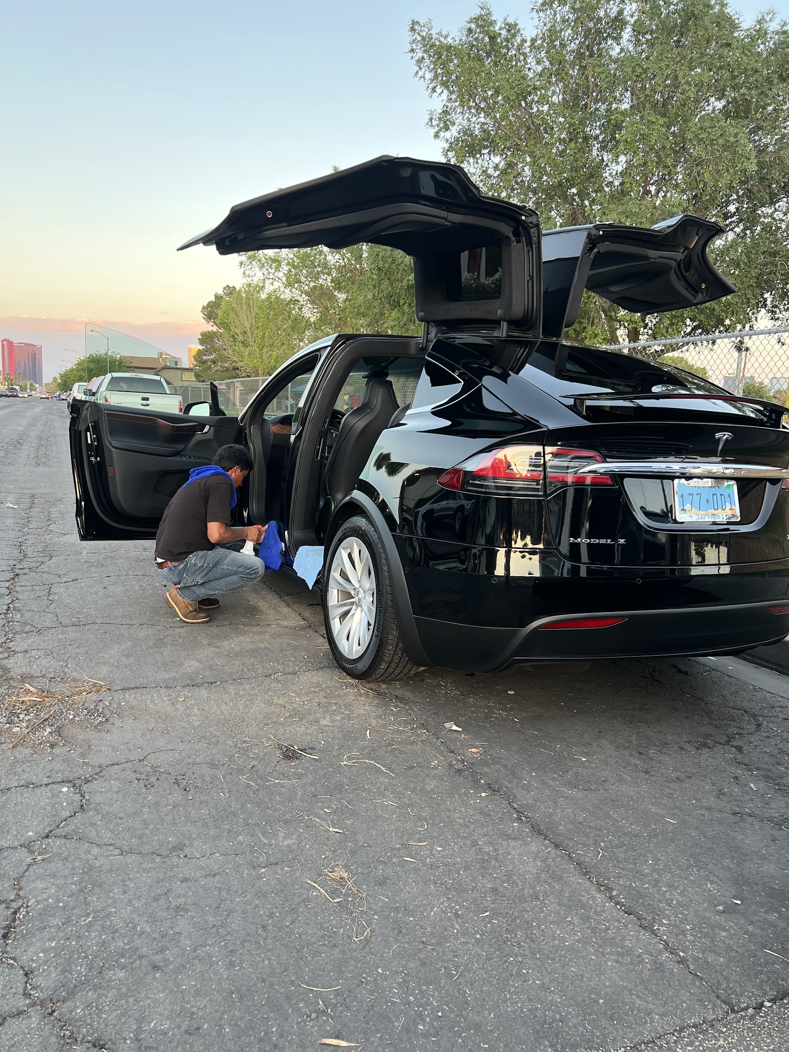 Freshly detailed black Tesla Model X with falcon-wing doors open at sunset